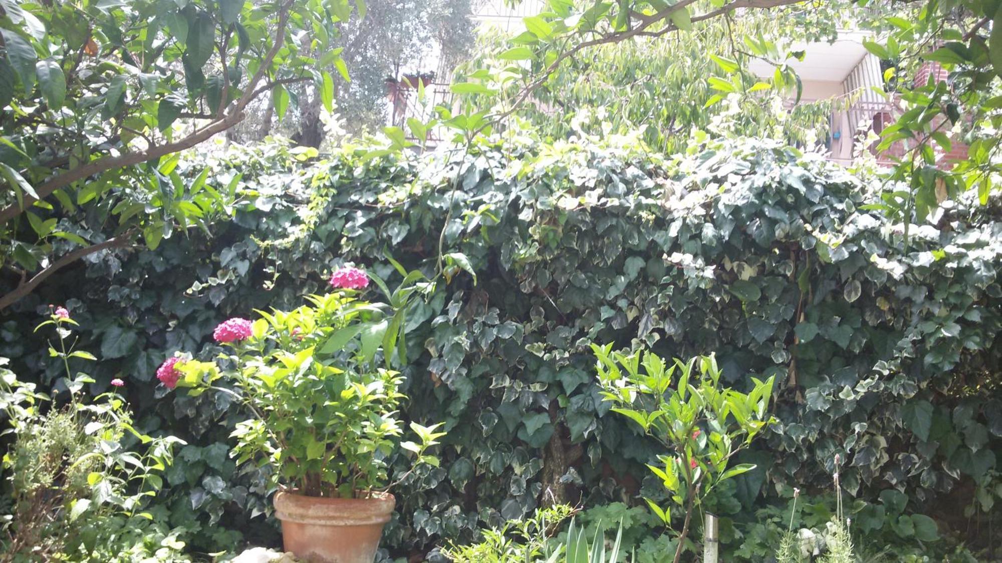 Apartments Salona تروغير الغرفة الصورة